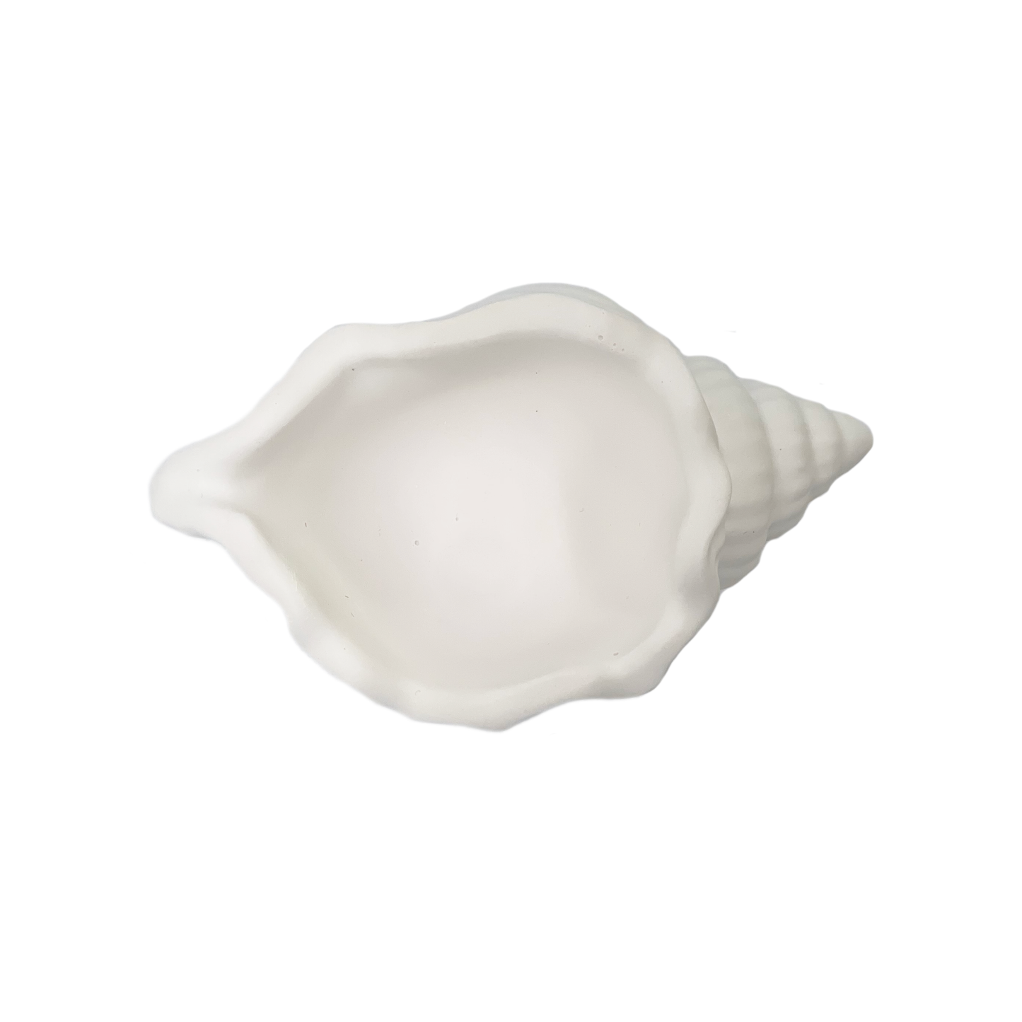 Stone Shell Trinket Bowl