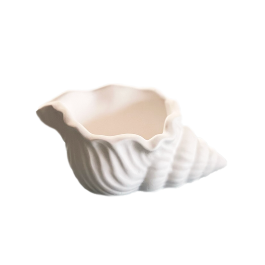 Stone Shell Trinket Bowl